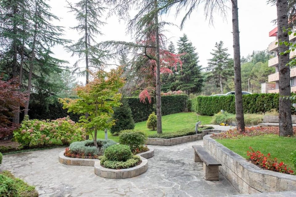 Day, Natural landscape, Garden, Garden view