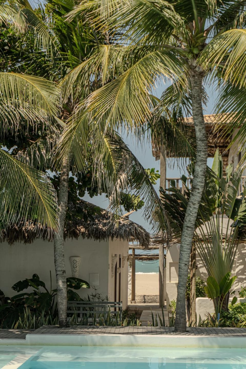 Garden, Swimming pool