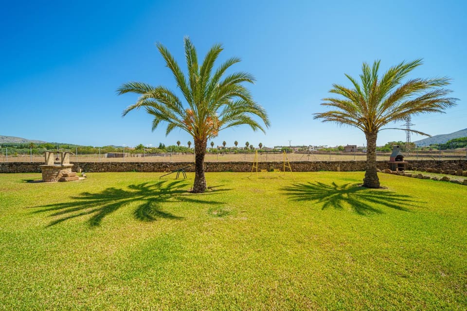 Natural landscape, Garden, Garden view
