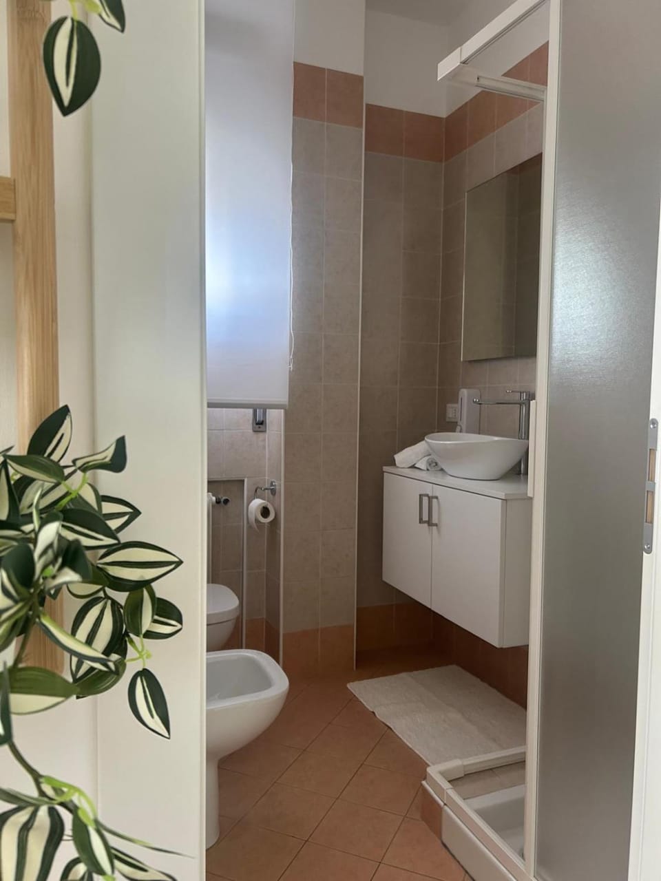 Shower, Toilet, Bathroom, bidet
