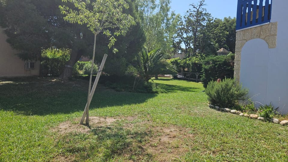 Garden view