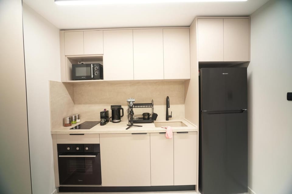 Coffee/tea facilities, Kitchen or kitchenette, minibar, oven, stove