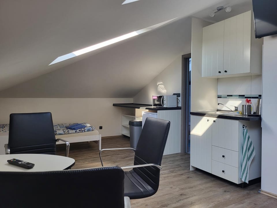 Komárov Apartment Apartment in Czechia