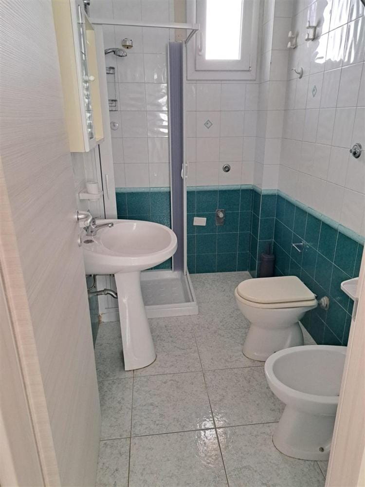 Shower, Toilet, Bathroom, bidet
