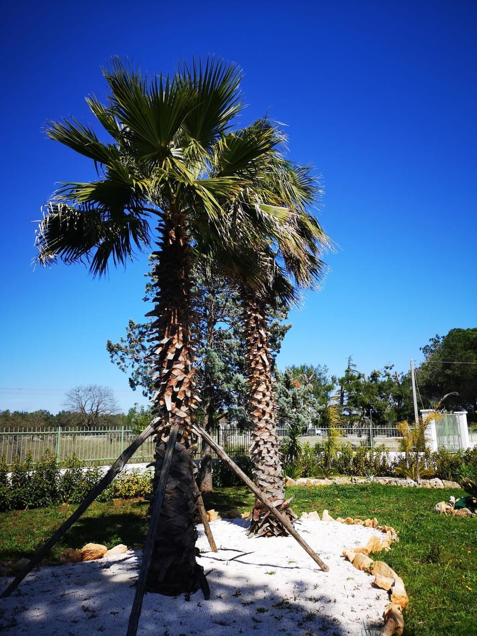 Natural landscape, Garden
