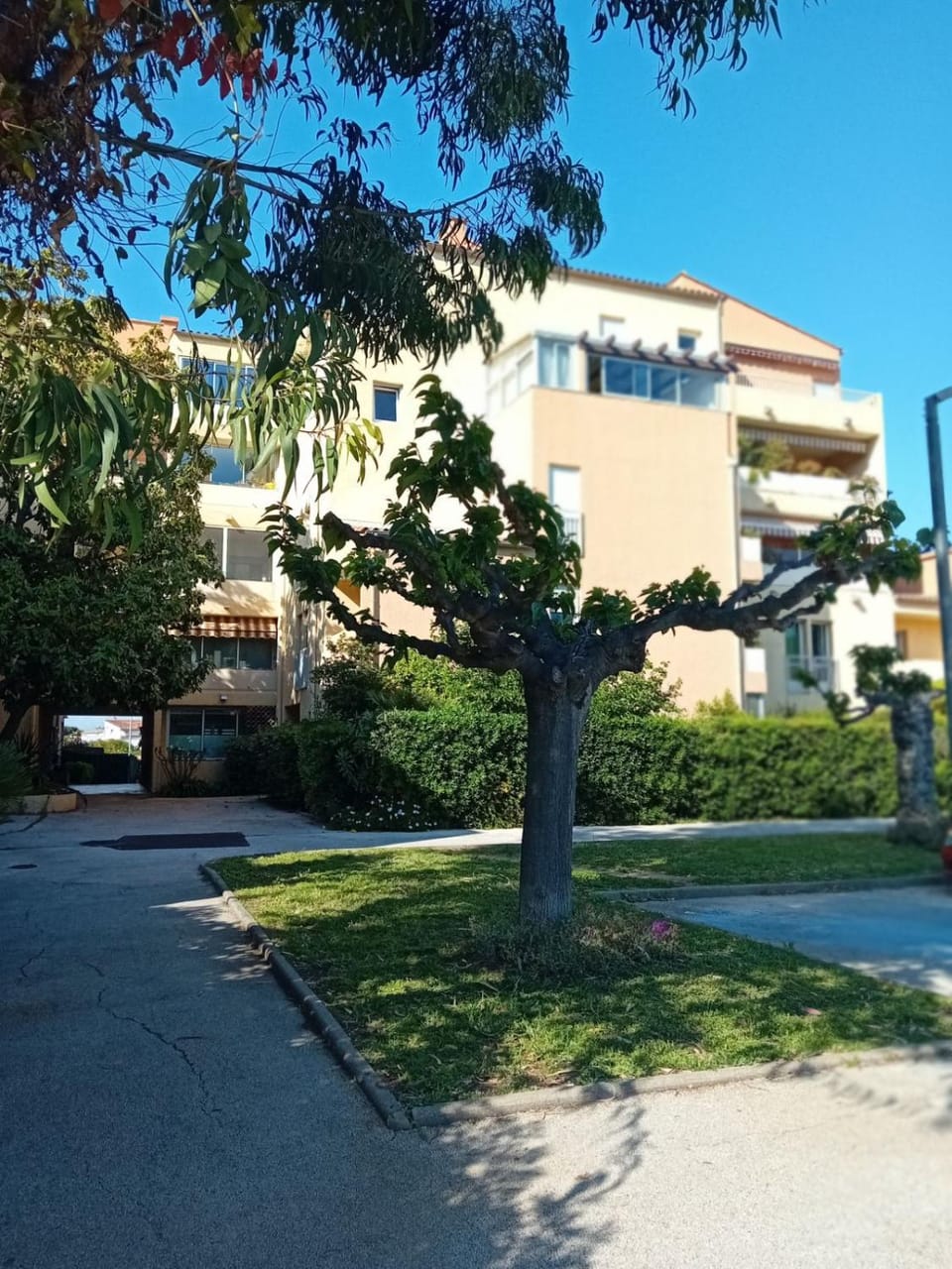 Apparemment cosy le pradet Apartment in French Riviera