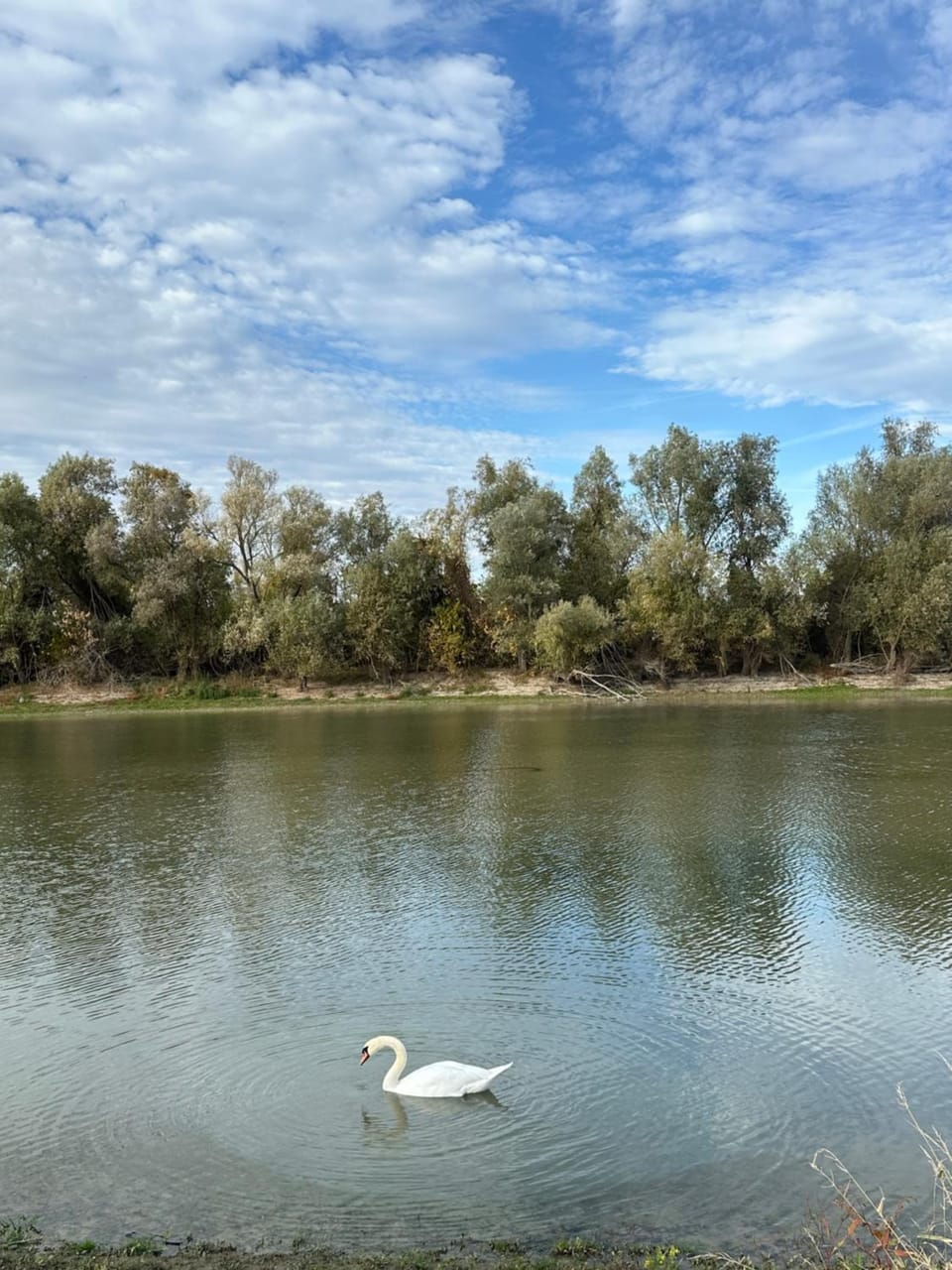 Natural landscape, River view