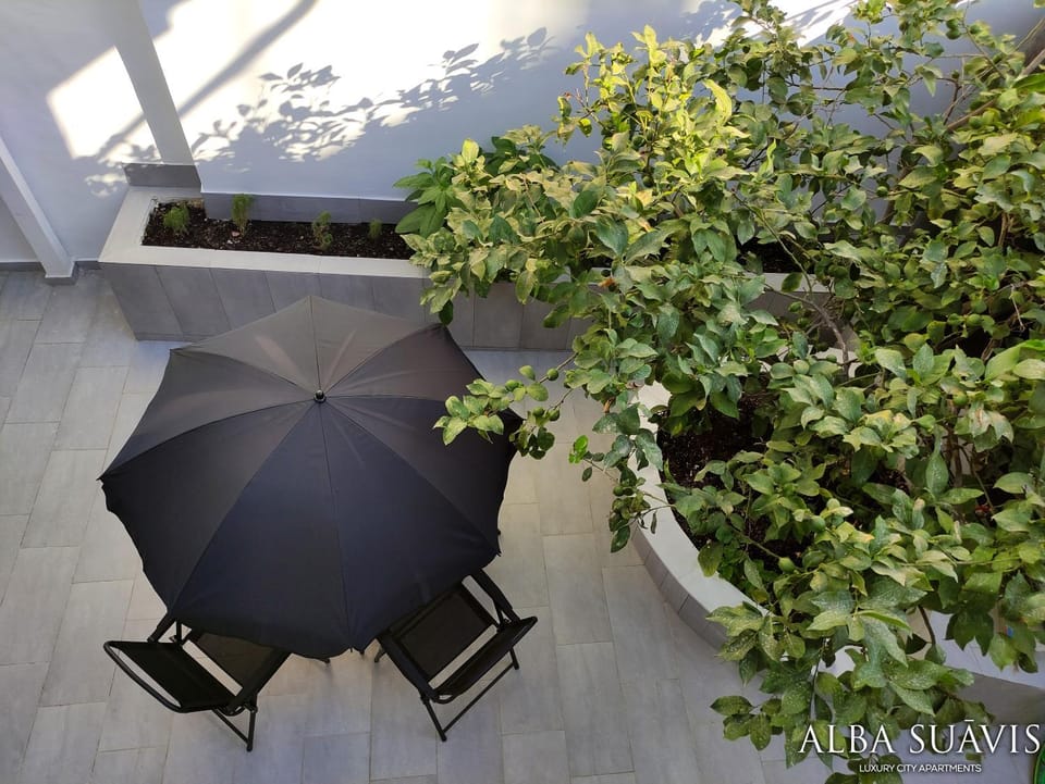Garden, Floor plan, Garden view, Inner courtyard view