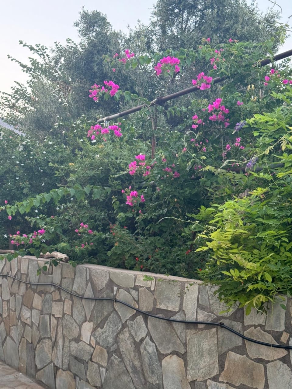 Mani Spot in Almiro House in Peloponnese Region