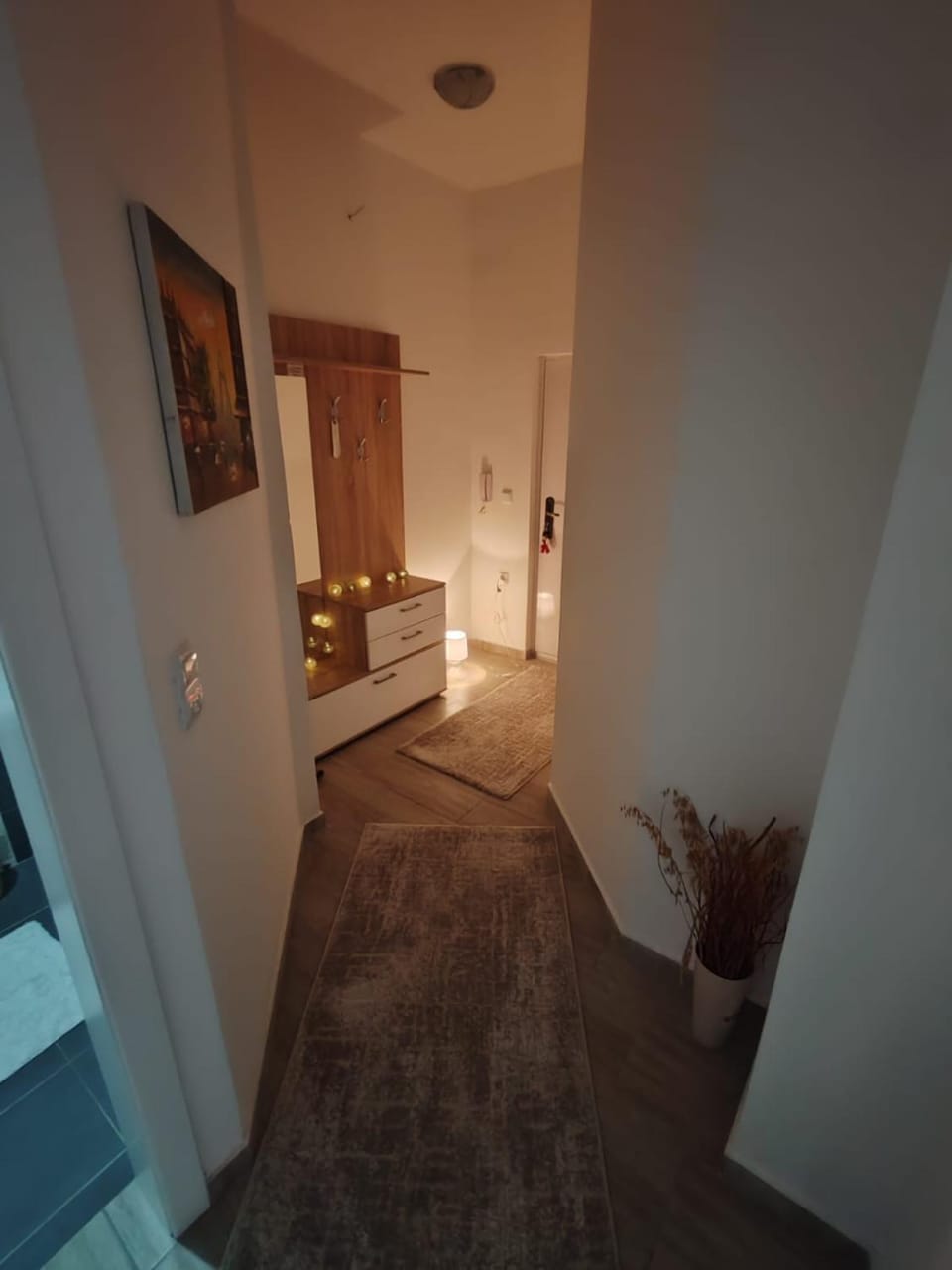 Apartman Sofija Apartment in Serbia