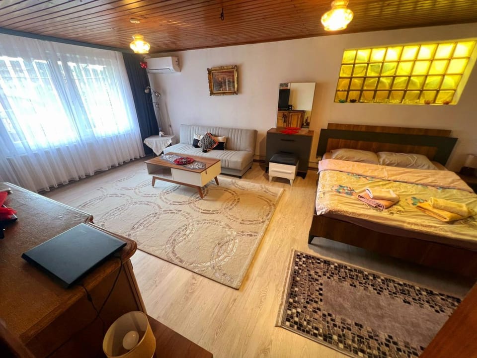 Old Street House Apartment in Serbia