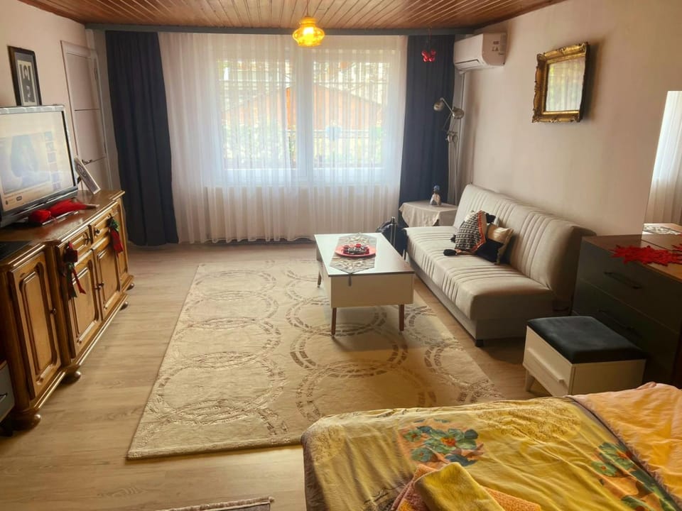 Old Street House Apartment in Serbia