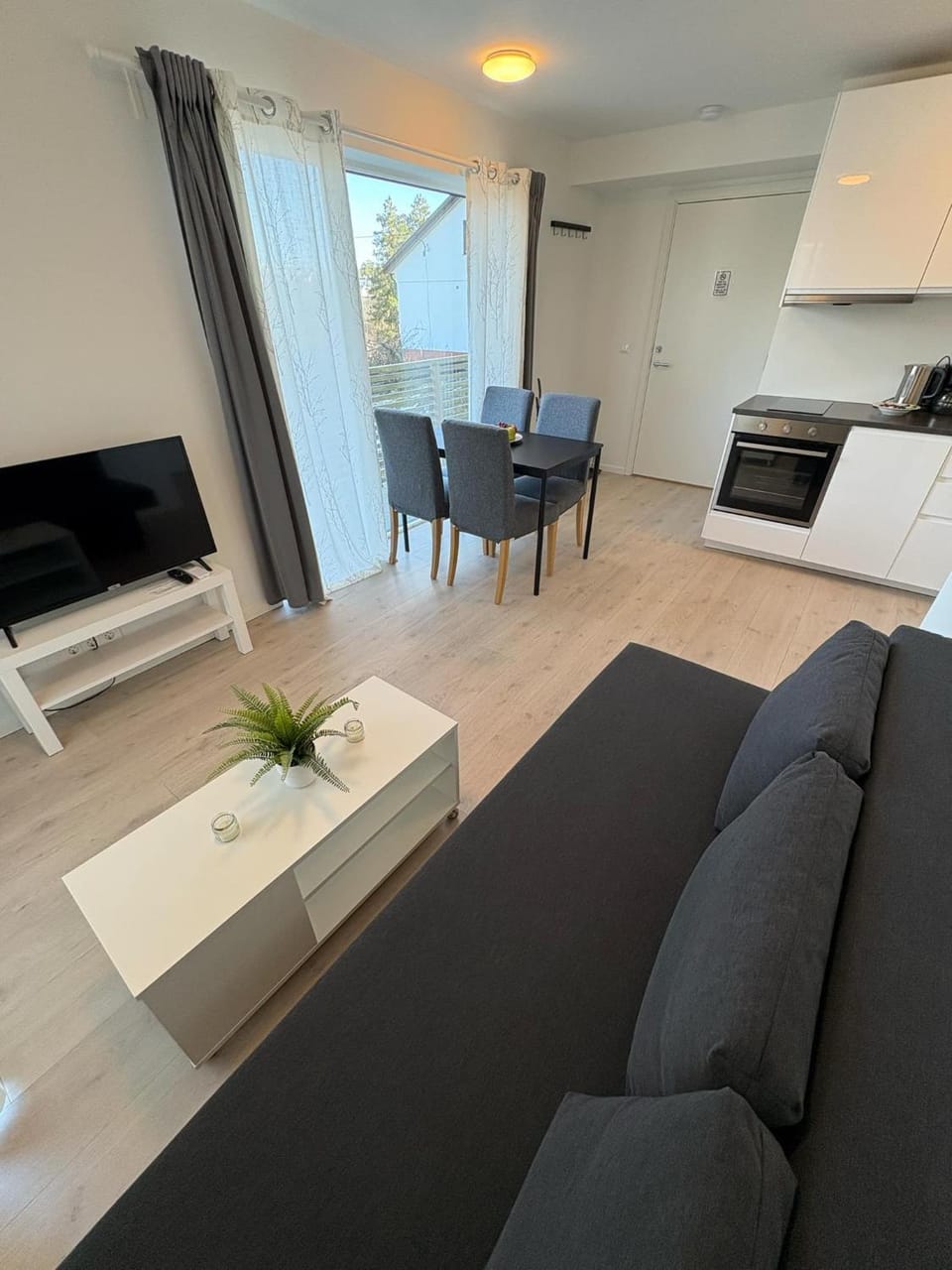 TV and multimedia, Kitchen or kitchenette, Living room, Photo of the whole room, Dining area