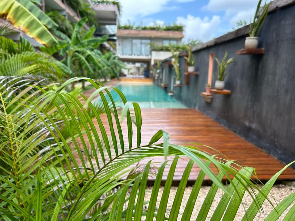 Day, Garden, Garden view, Swimming pool