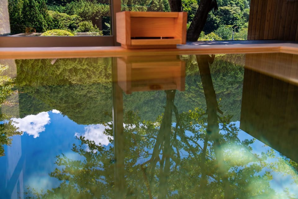 Hot Spring Bath, Bathroom, Photo of the whole room