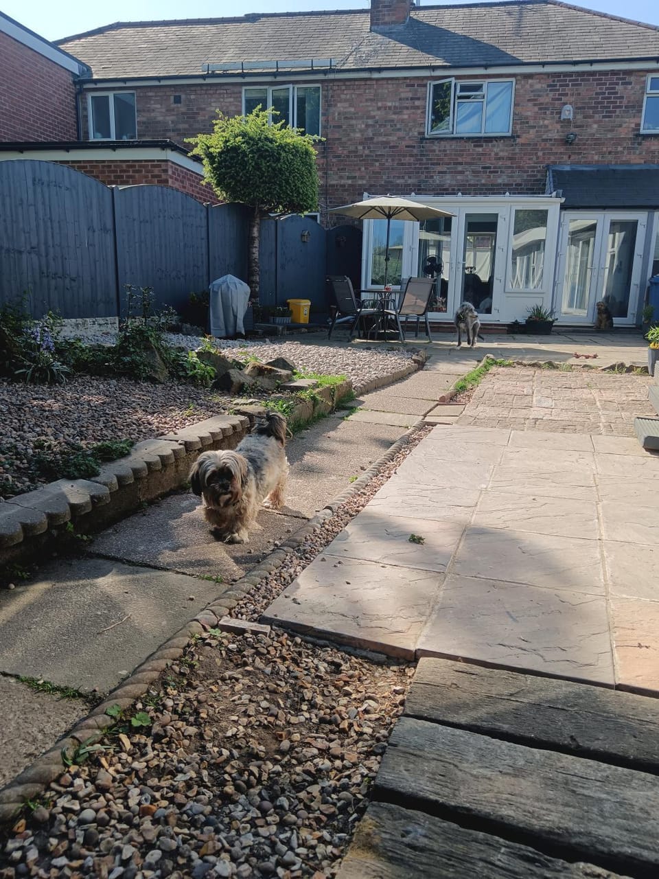 Property building, Garden view