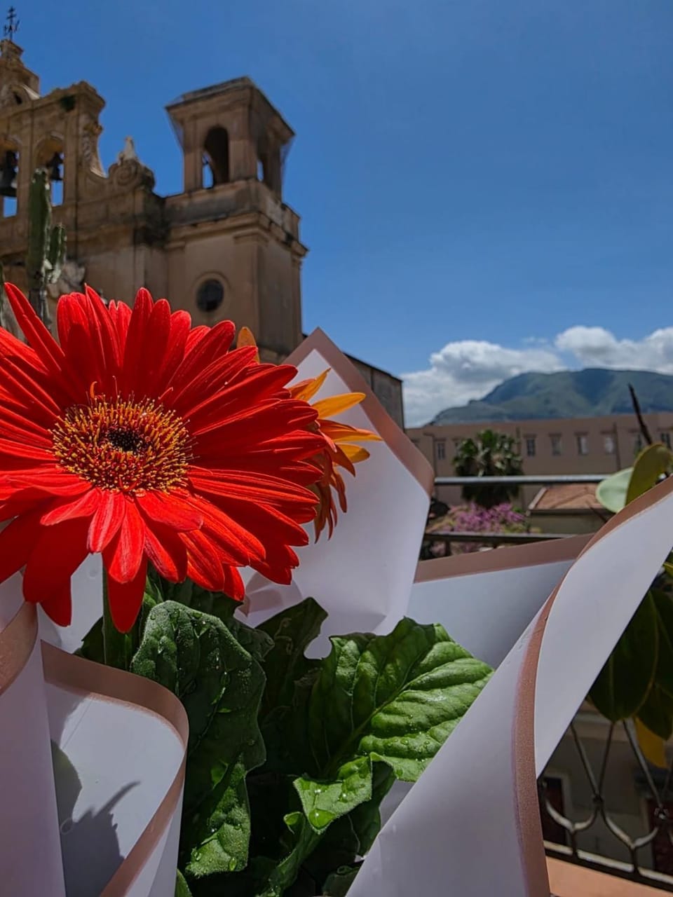 Day, Balcony/Terrace, Mountain view