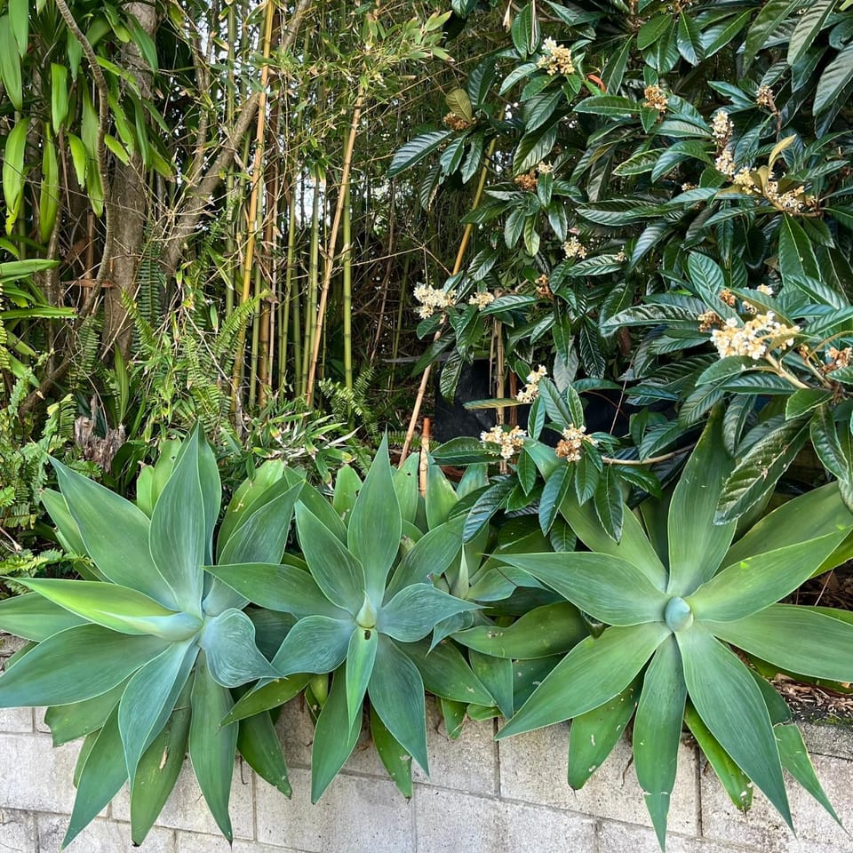 Peaceful Green Bay Charmer House in Auckland
