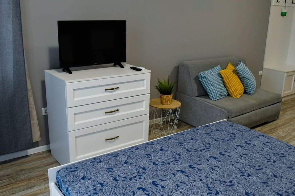TV and multimedia
