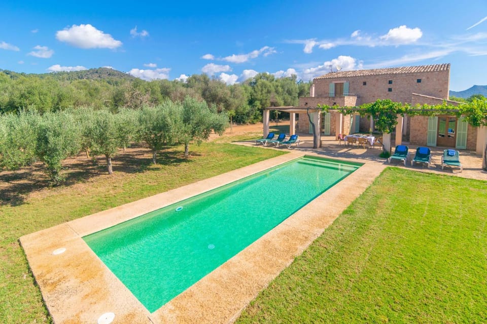 Property building, Garden, Swimming pool