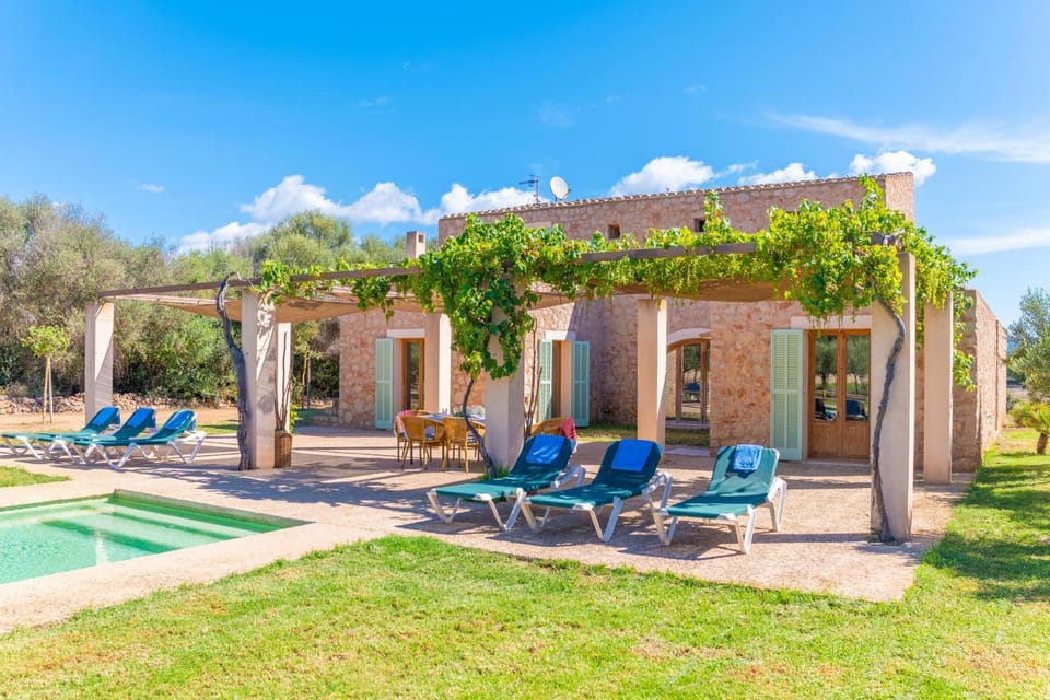Property building, Garden, Swimming pool, sunbed