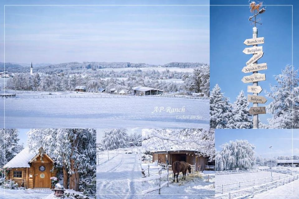 Property building, Winter