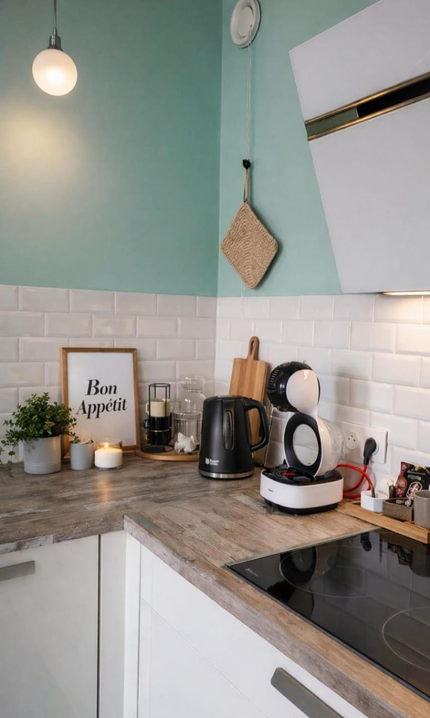 Spacieux Appartement de 73 m2 en plein centre-ville d'Evian avec 2 chambres Apartment in Évian-les-Bains