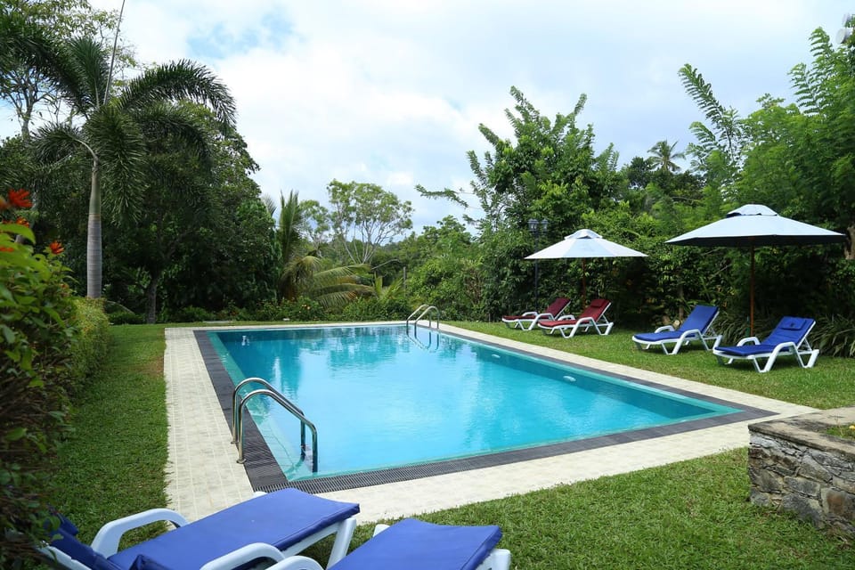 Swimming pool, Swimming pool