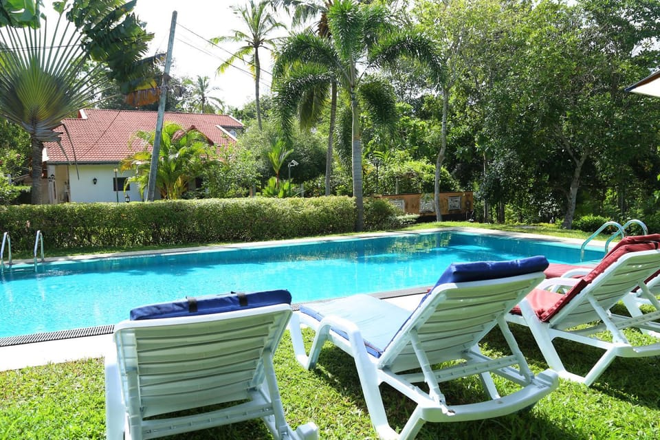 Garden view, Pool view, Swimming pool, sunbed