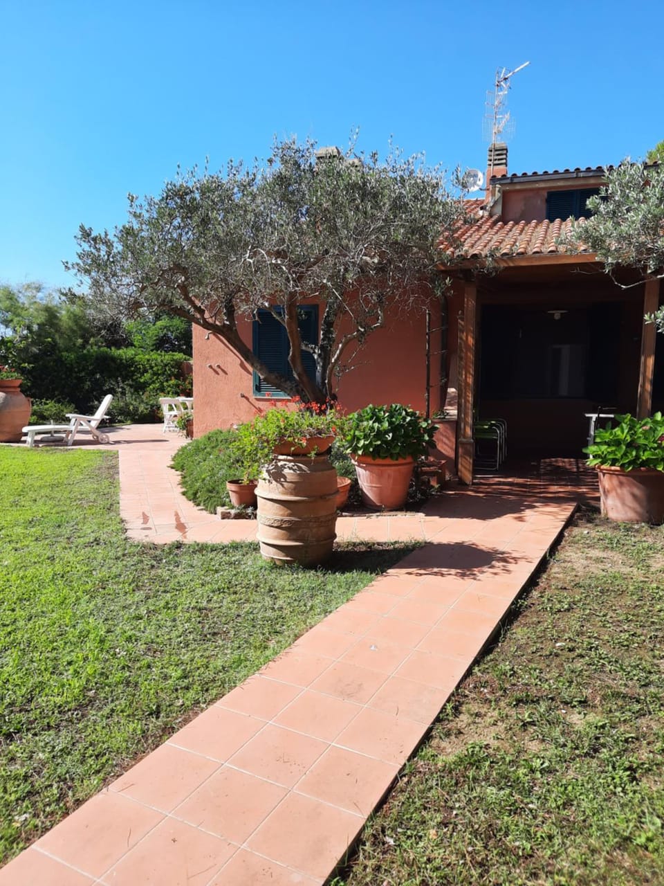 Garden, Garden