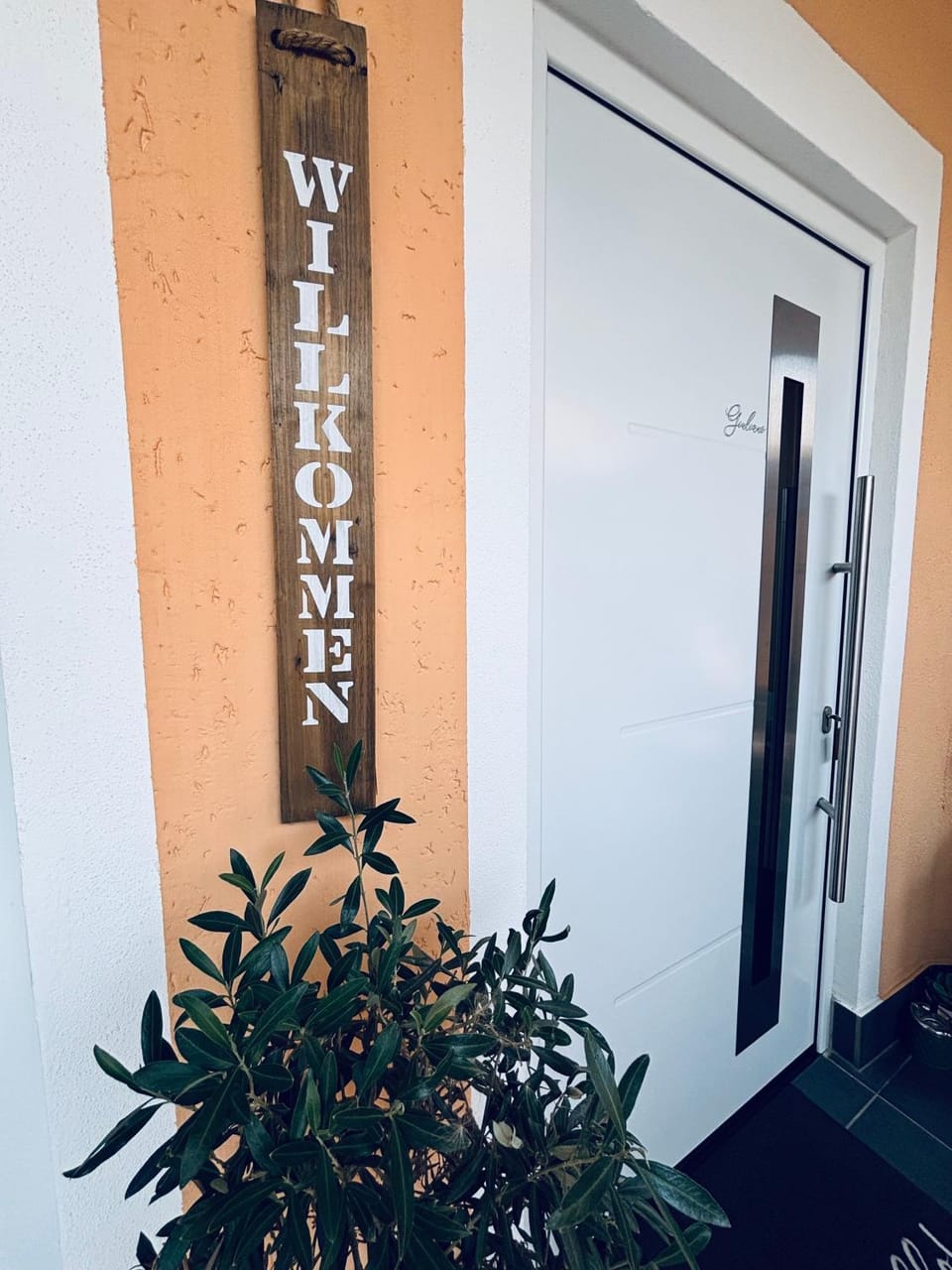 Da Toni FeWo Chiara Apartment in Mainz-Bingen