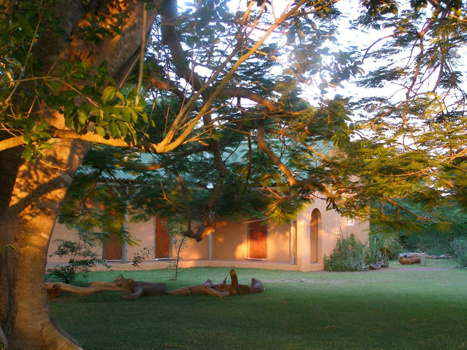 Buffalo Thorn Bed & Breakfast Bed and Breakfast in KwaZulu-Natal