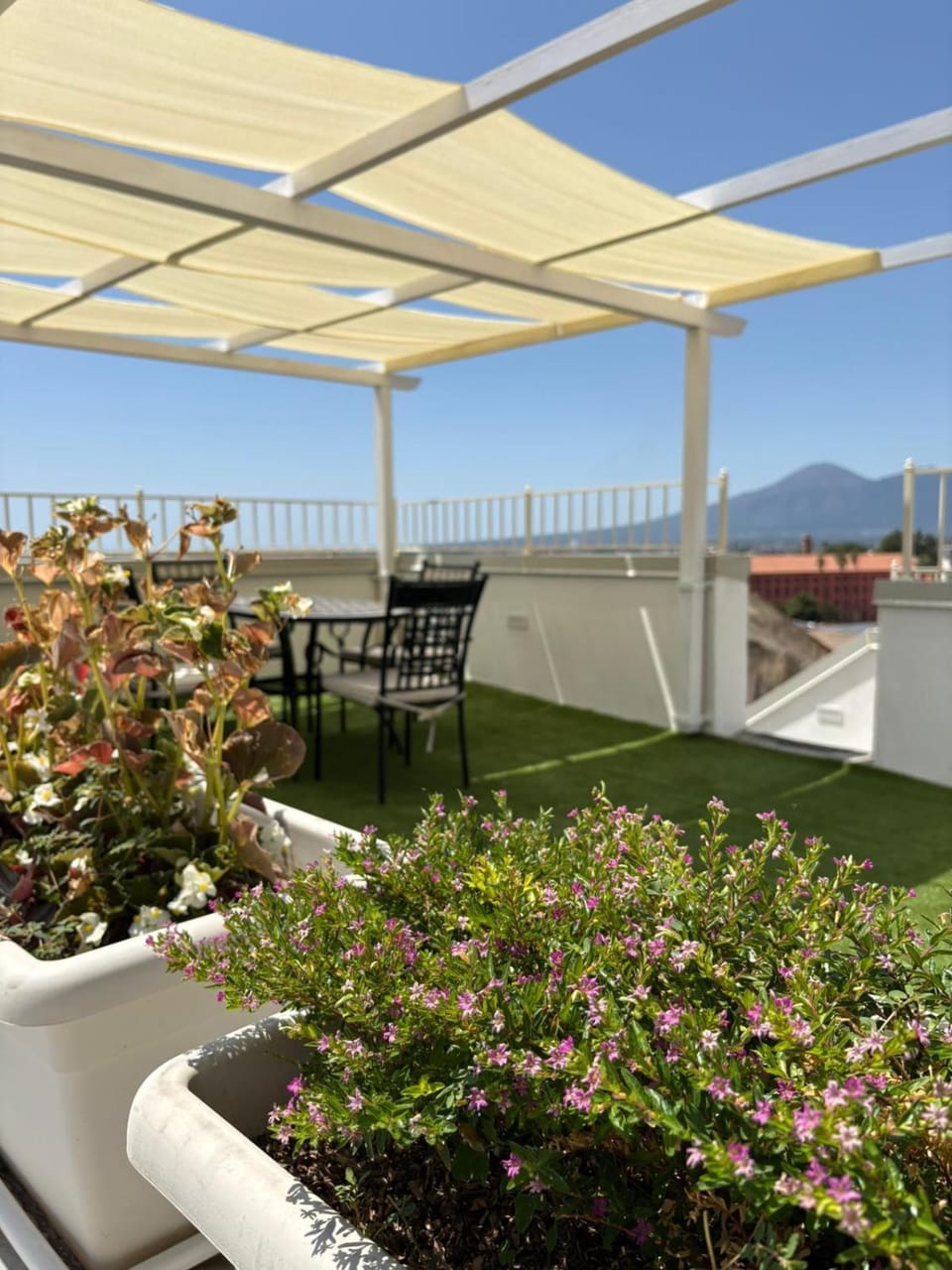 City view, Garden view