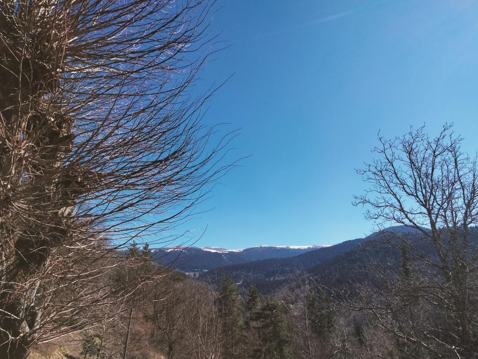 Mountain view