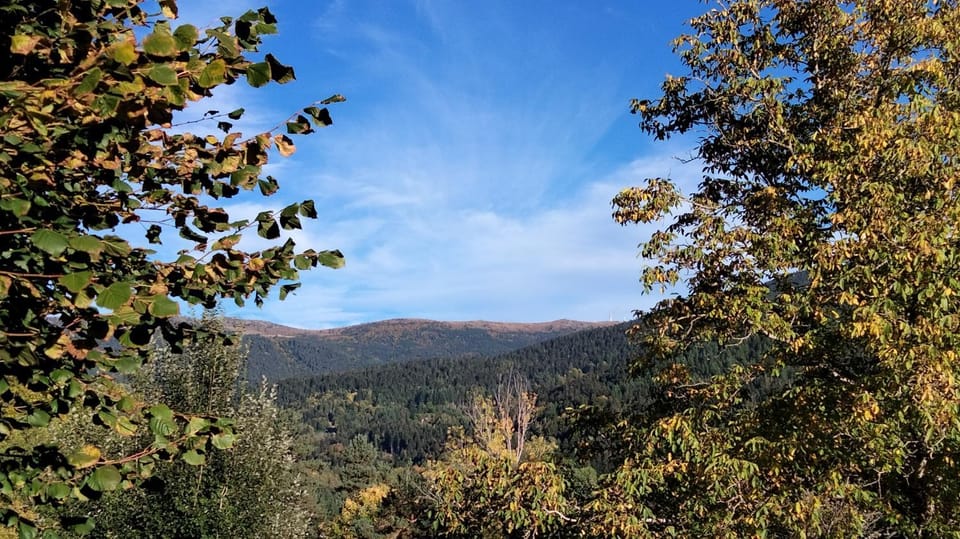 Mountain view