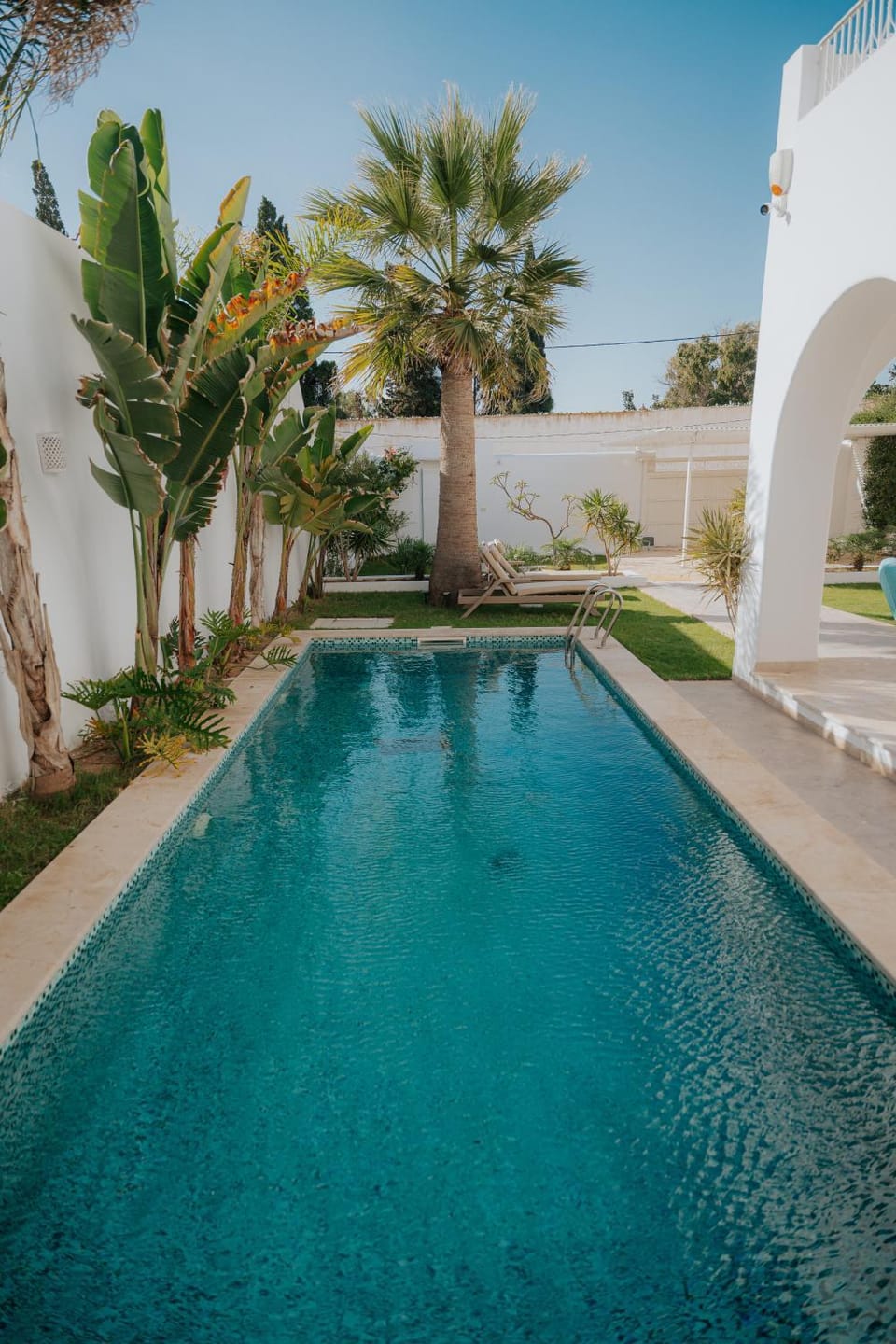 Garden, Pool view, Swimming pool