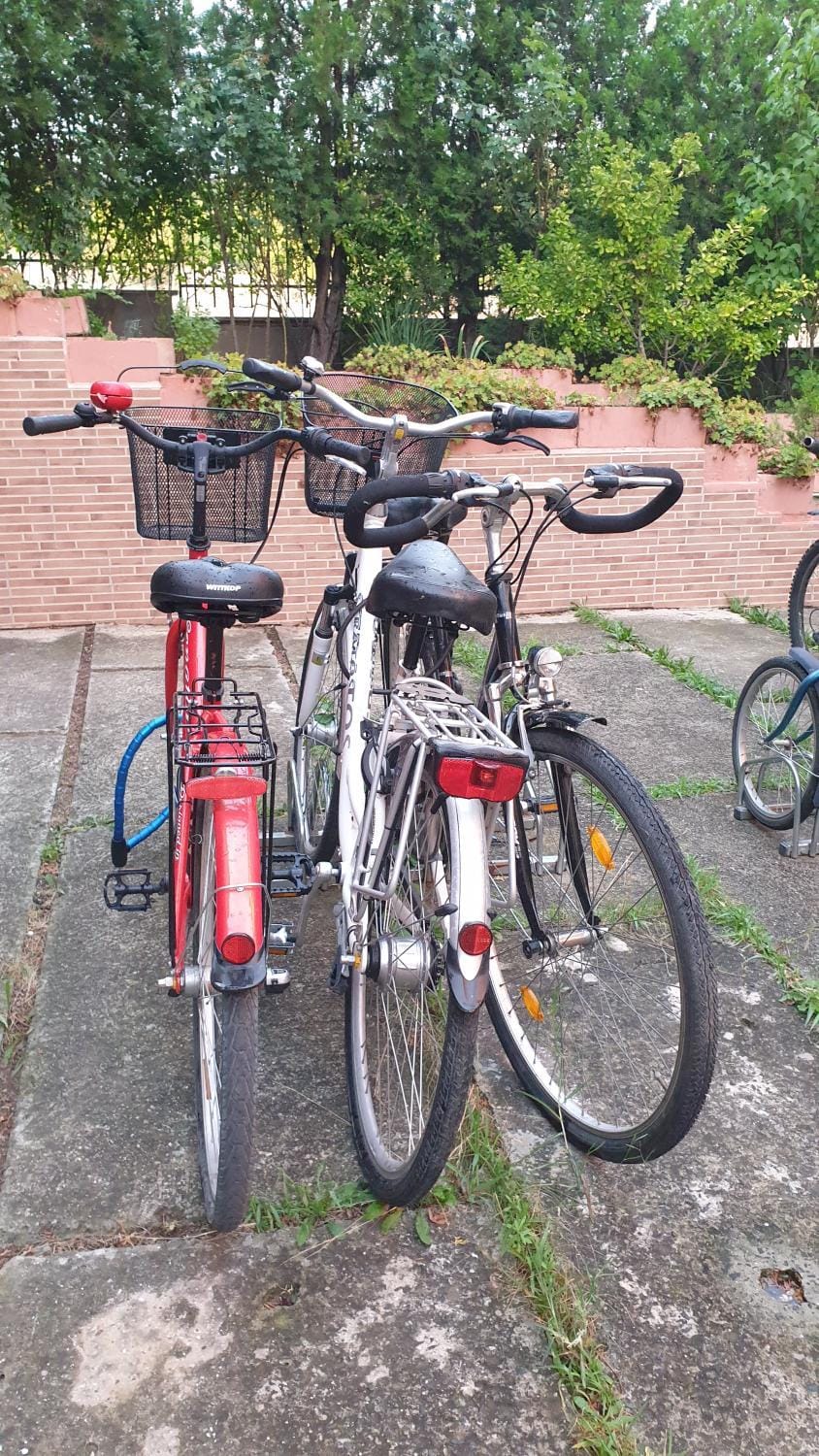 Cycling