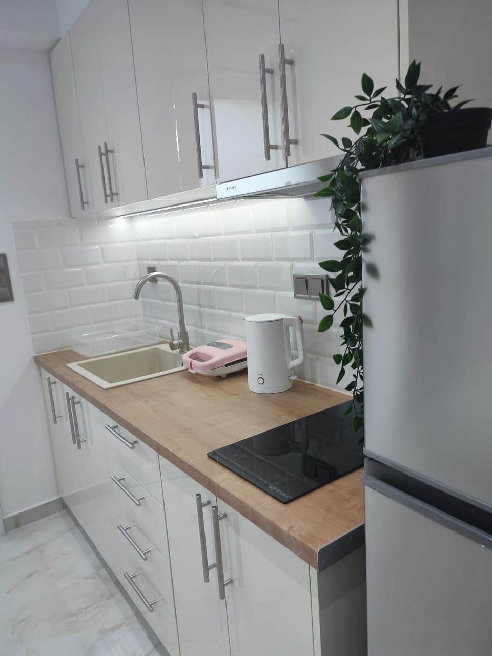 Alexander Luxury Apartment in Halkidiki