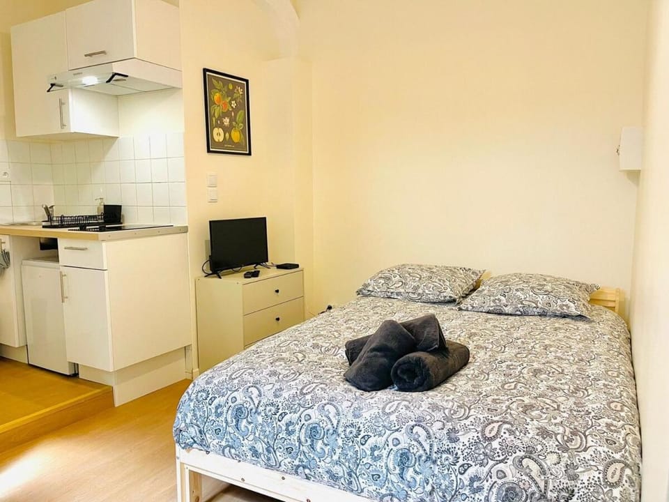 Le petit meublé hyper Centre Apartment in Orléans