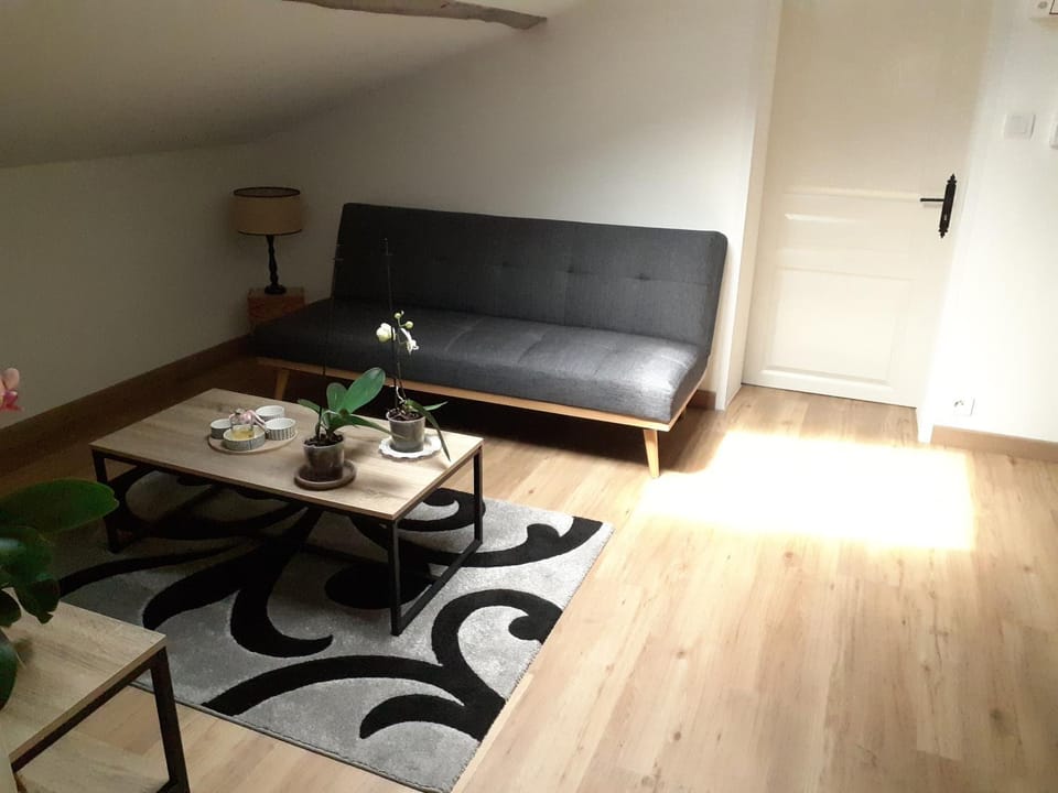 Appartement chez l'habitant Apartment in Occitanie