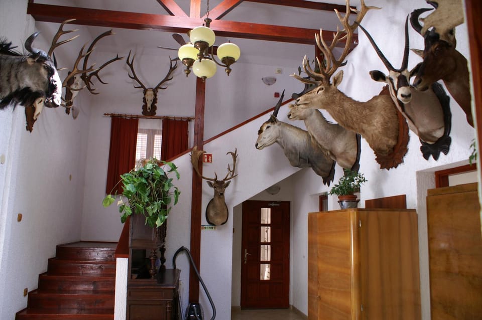 Trófea Vendégház Bed and Breakfast in Slovakia