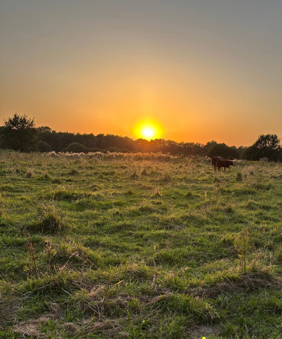 Natural landscape