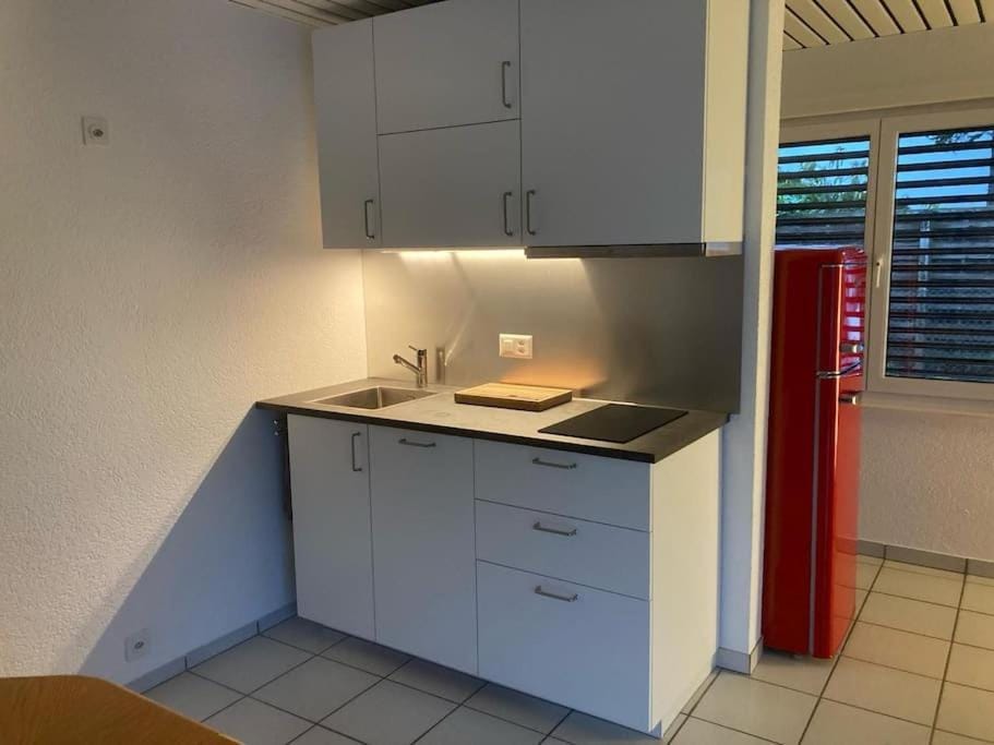 2- Zimmerwohnung-Duplex Apartment in Canton of Bern (Region)