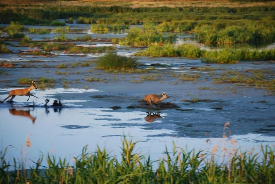 Natural landscape