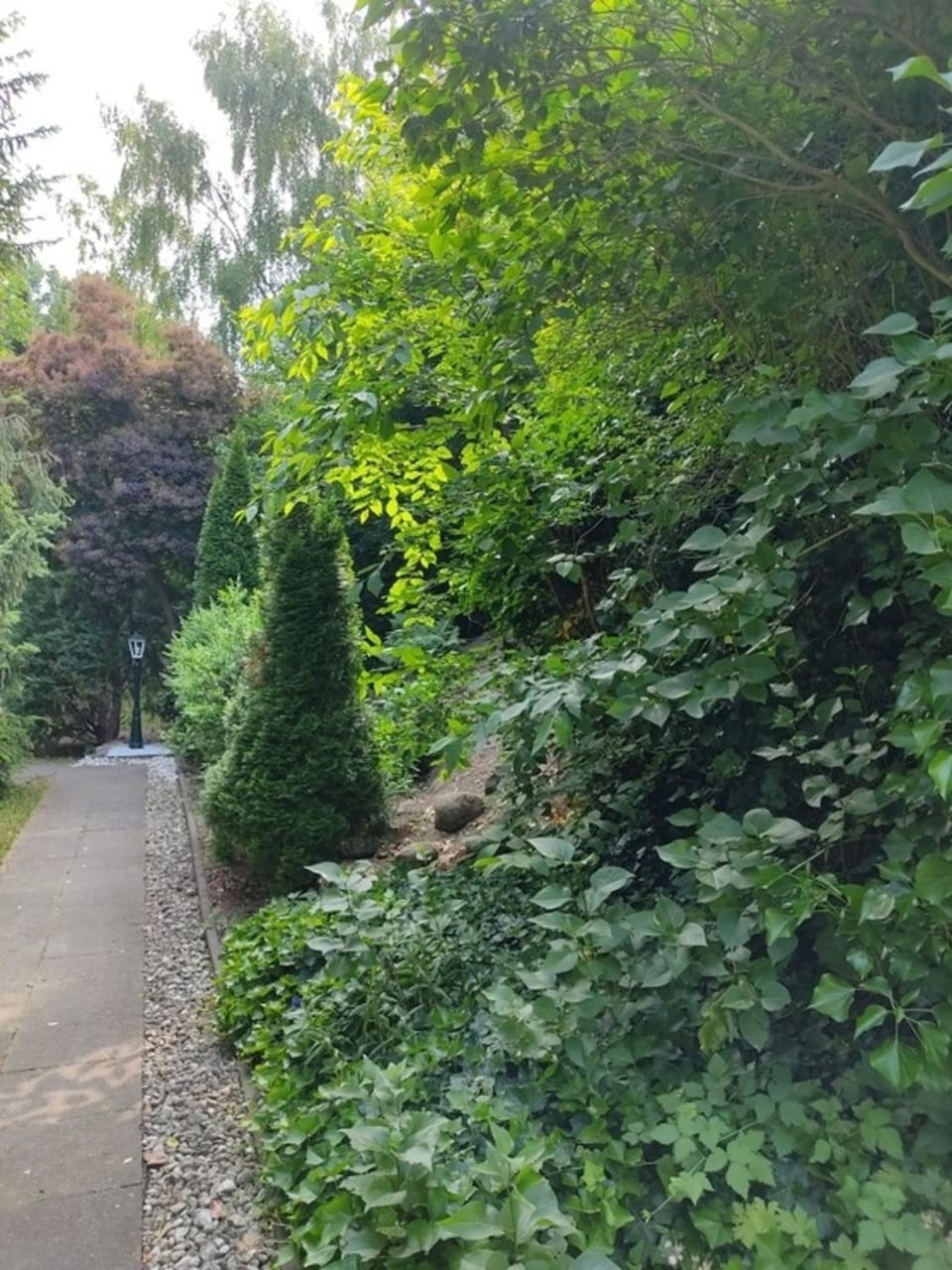 Appartementhaus Rosengarten - A4 Apartment in Ostholstein