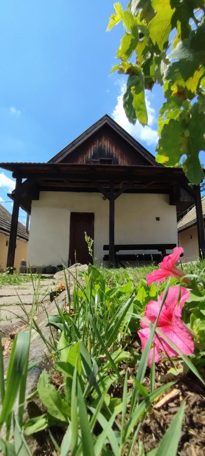 Chata v prírodnej pamiatkovej rezervácii House in Slovakia