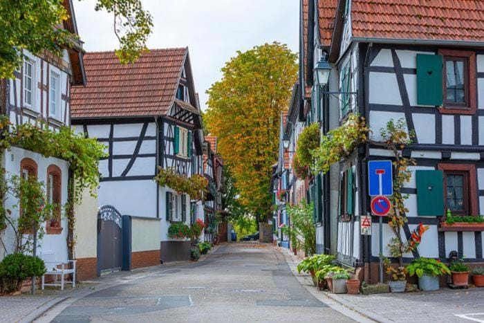 Neighbourhood, Street view