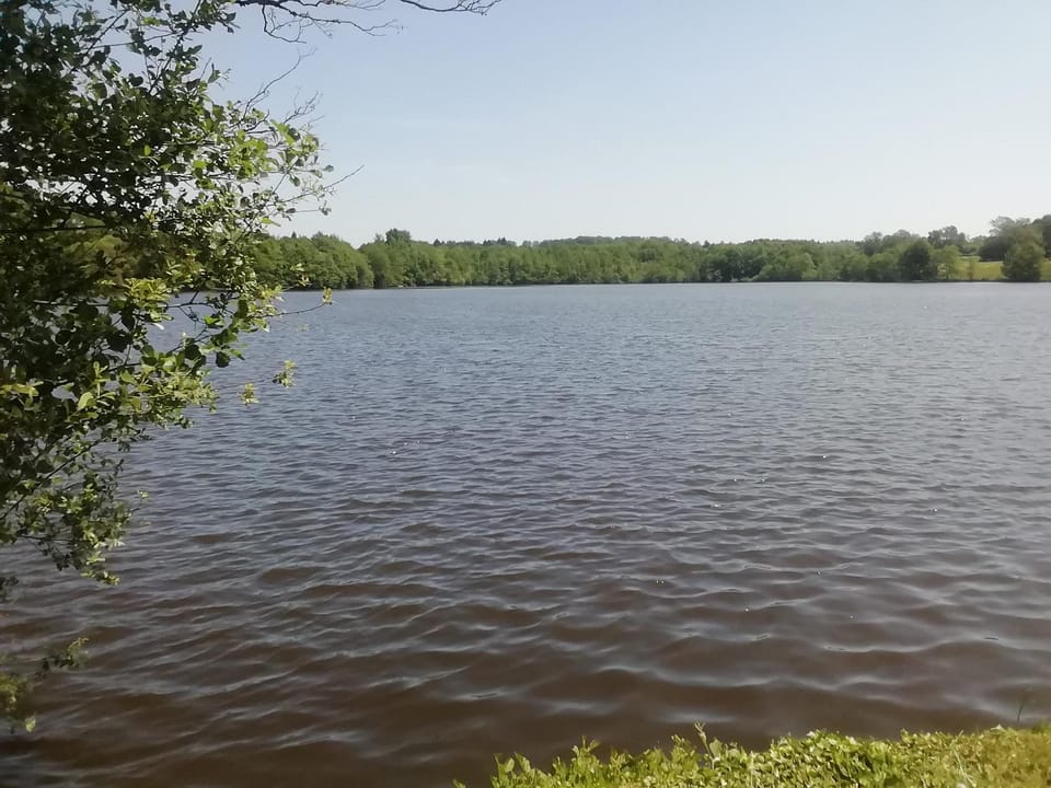 Lake view