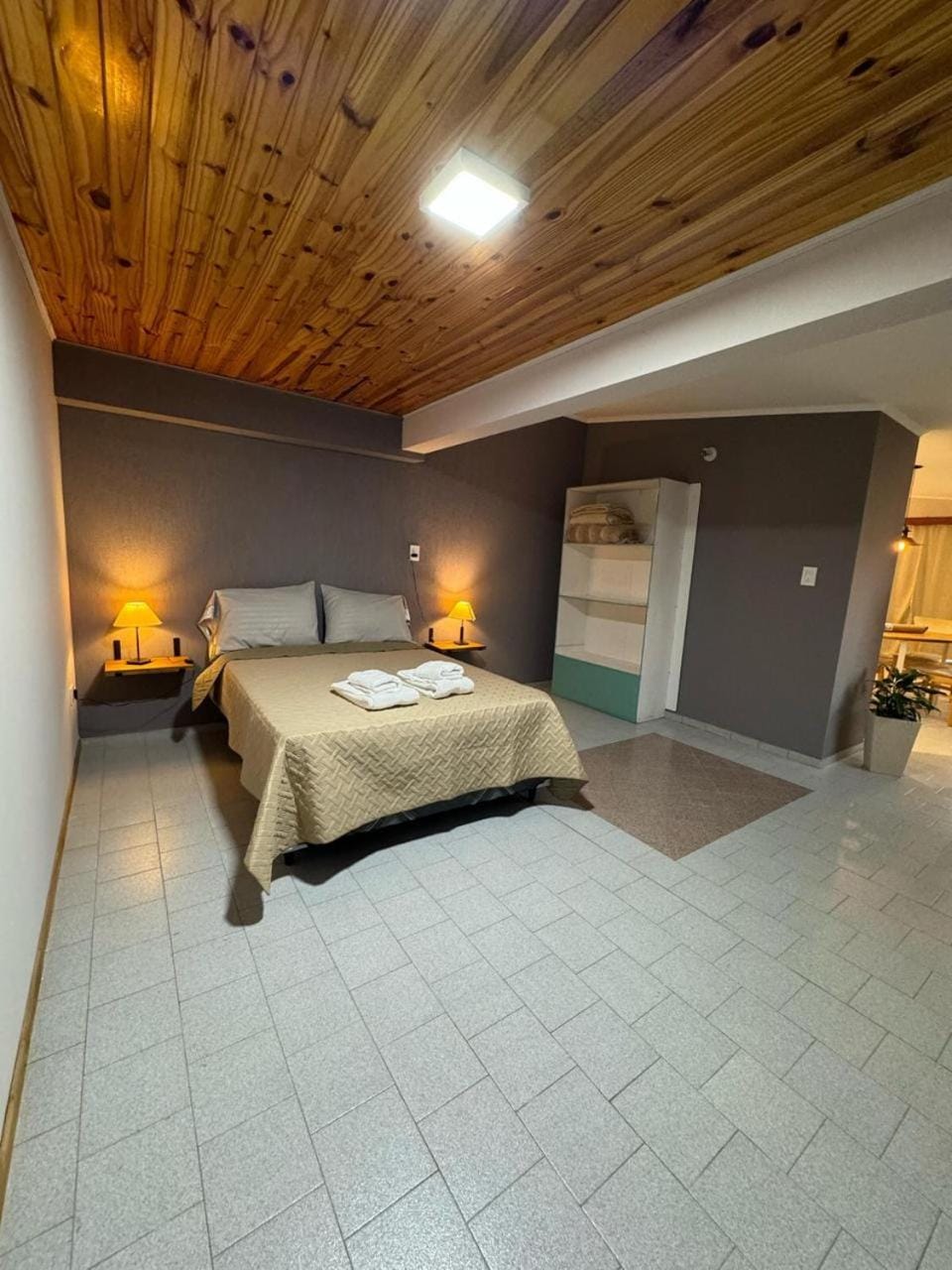 Loft de los Andes Apartment in Malargüe