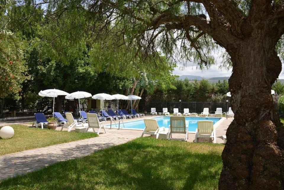 Garden, Pool view, Swimming pool, Swimming pool, sunbed